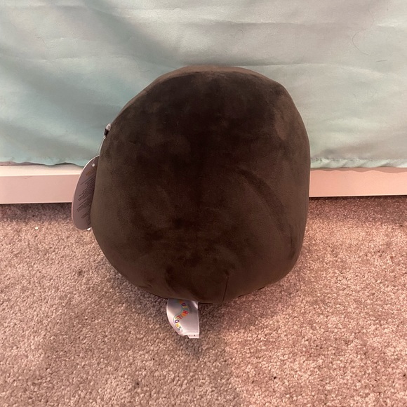 NWT 8” Alva the coffin Halloween Squishmallow - Picture 4 of 5